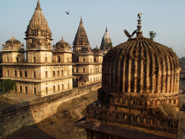 Birds of Prey in Orchha India
