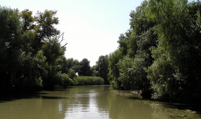 The Danube Delta