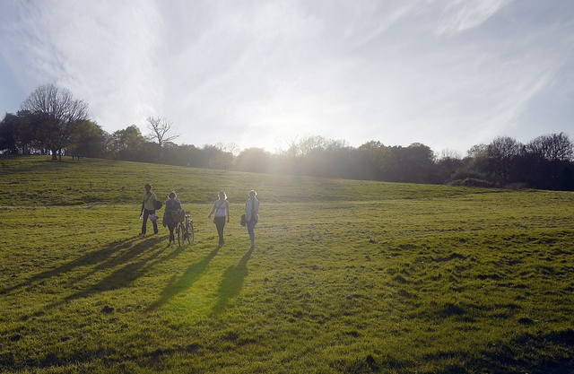 London Parks Hampstead Heath