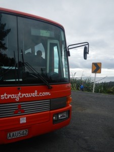Stray Travel Bus