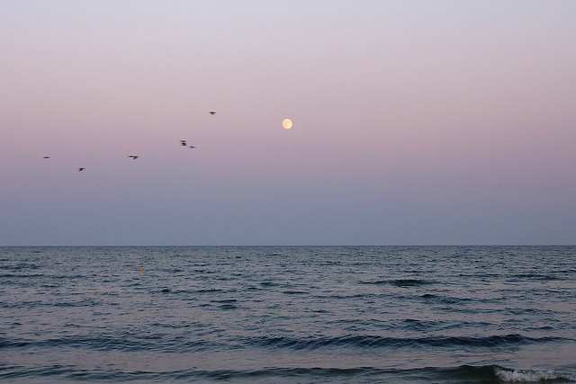 The Black Sea, Romania