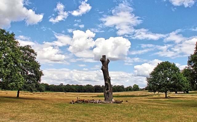 Richmond Park, London