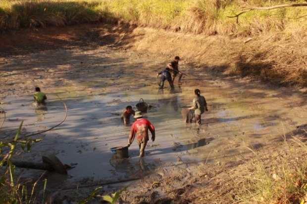 Fish Pond in the Village