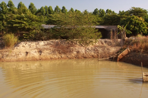 Pre-Drained Pond 