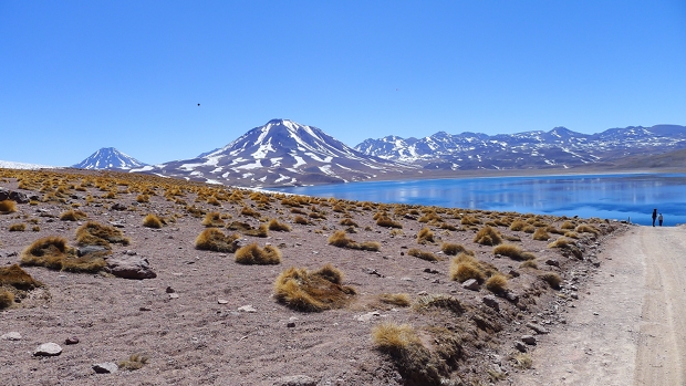 Atacama Desert, Chile