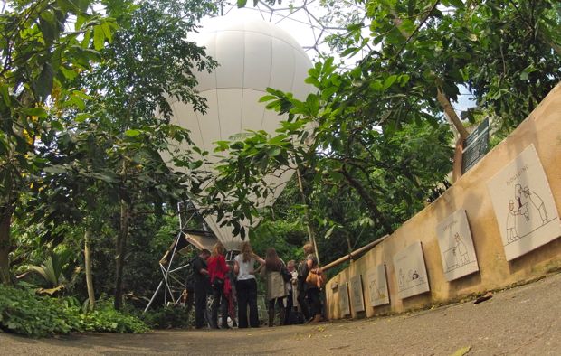 Balloon inside the tropical biome