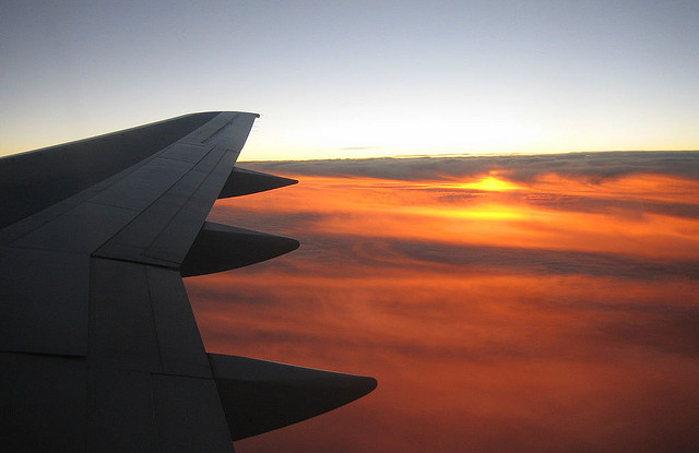 Flight at sunset