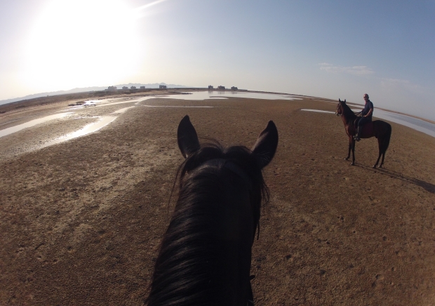 Horse Riding, Egypt