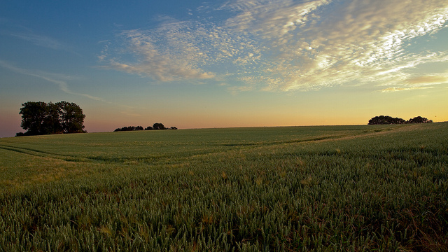 Landscape Photography