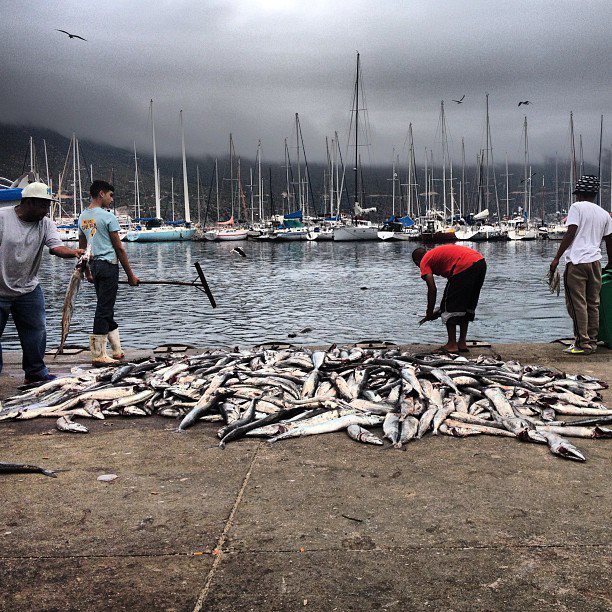 Hout Bay