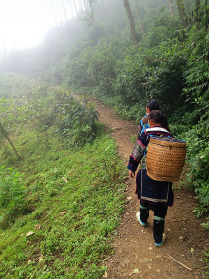 Trekking Sapa