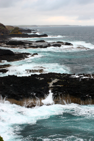 Cliffs around the Nobbies Centre