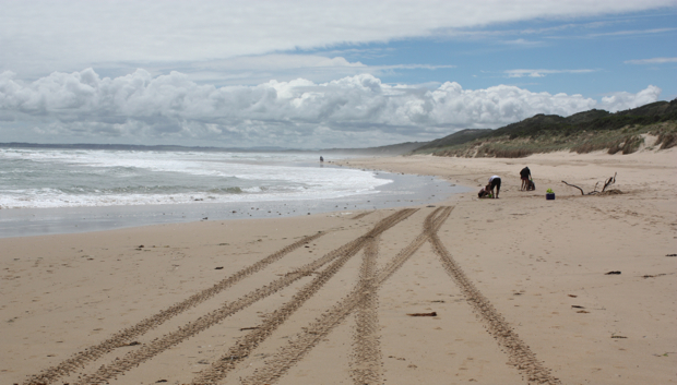 Venus Bay Beach No 1 Waves