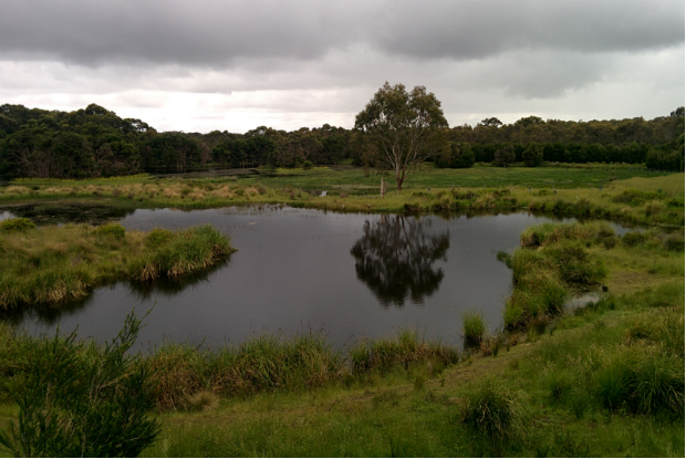 View from Koala Centre