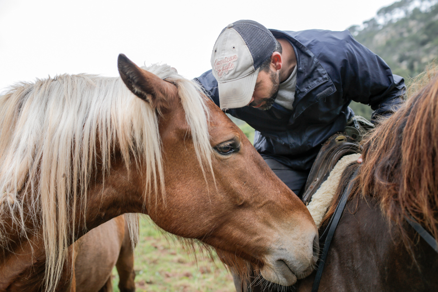 Alex and Horse, Menorca