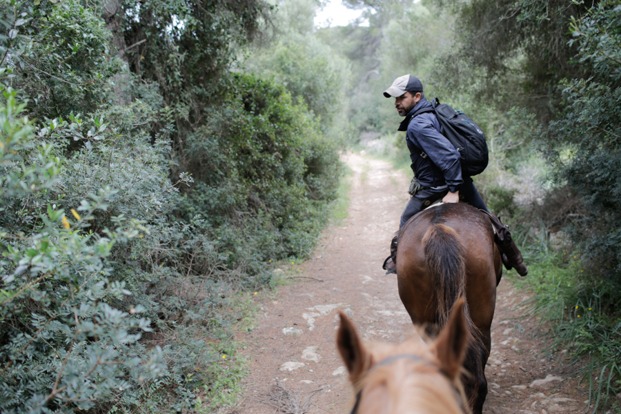 Horse Riding Menorca