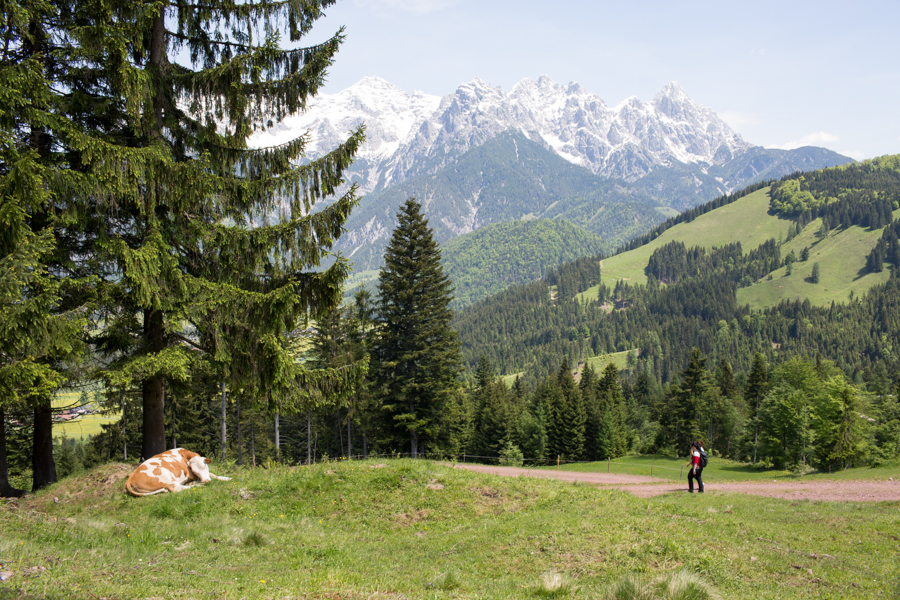 Hiking Tirol, Austria