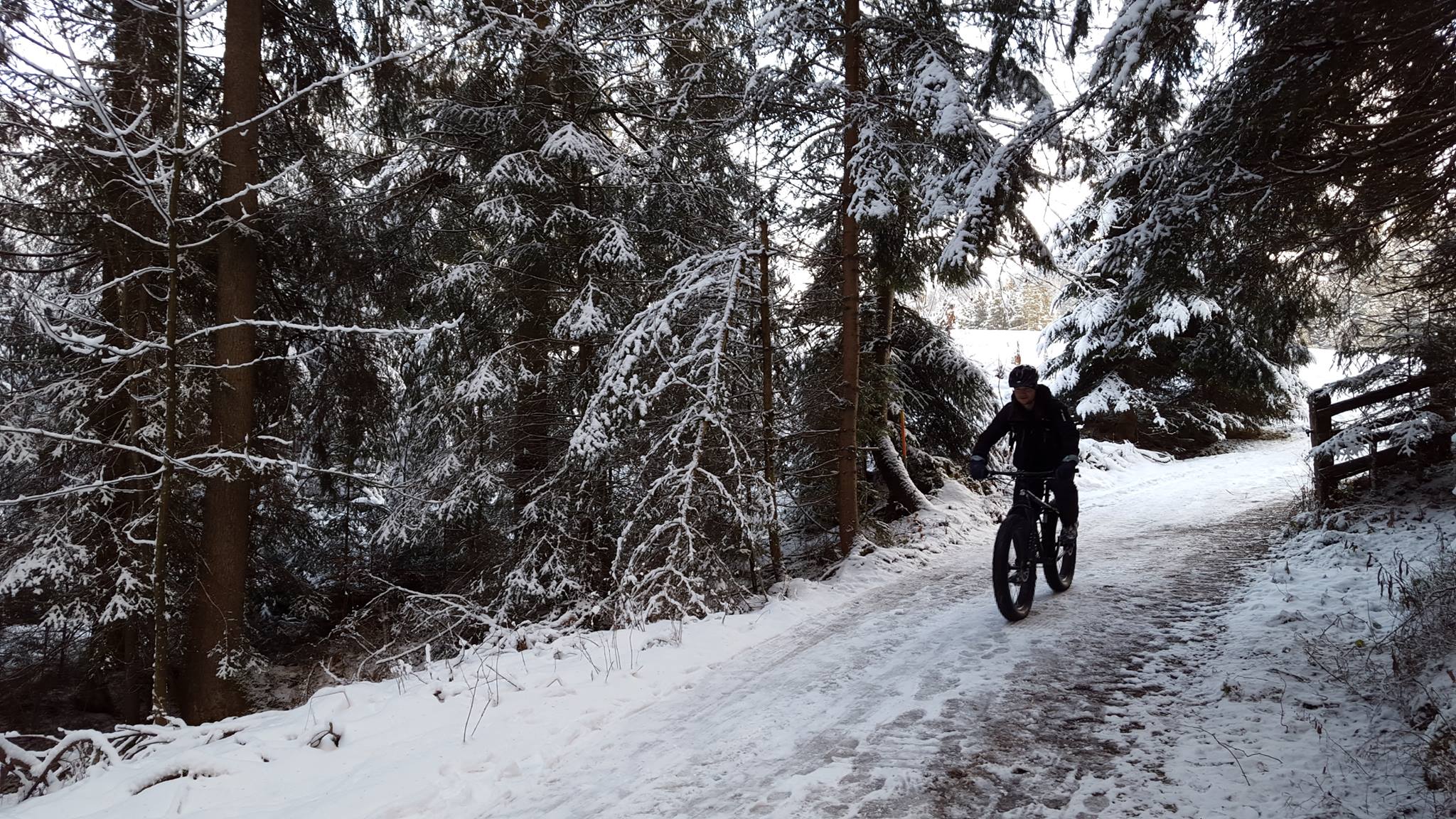 fat biking Tirol