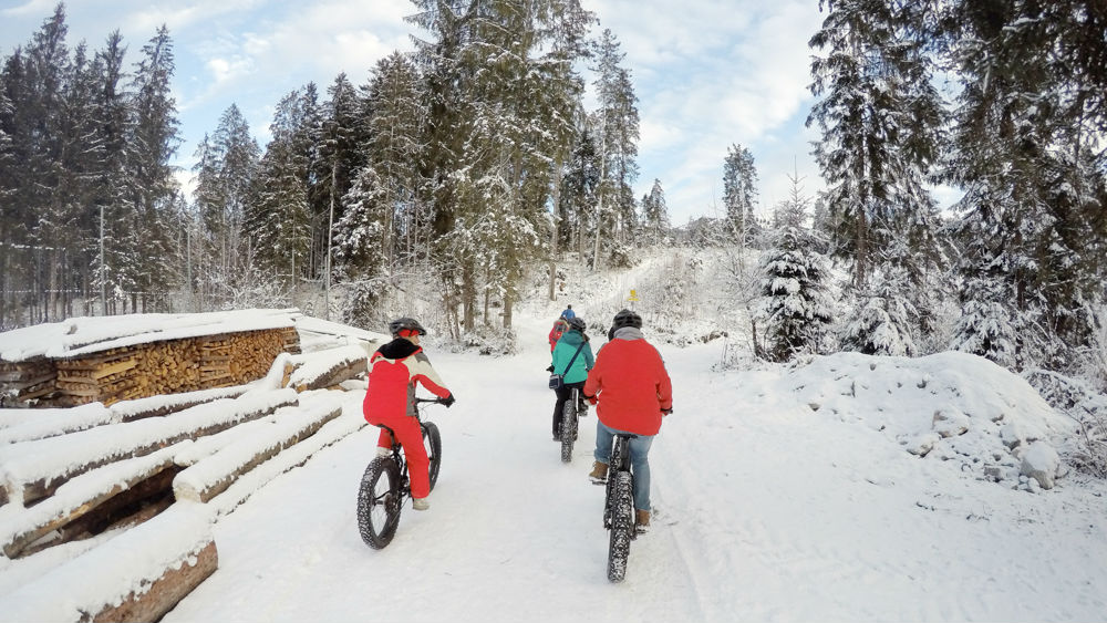 fatbiking in the snow