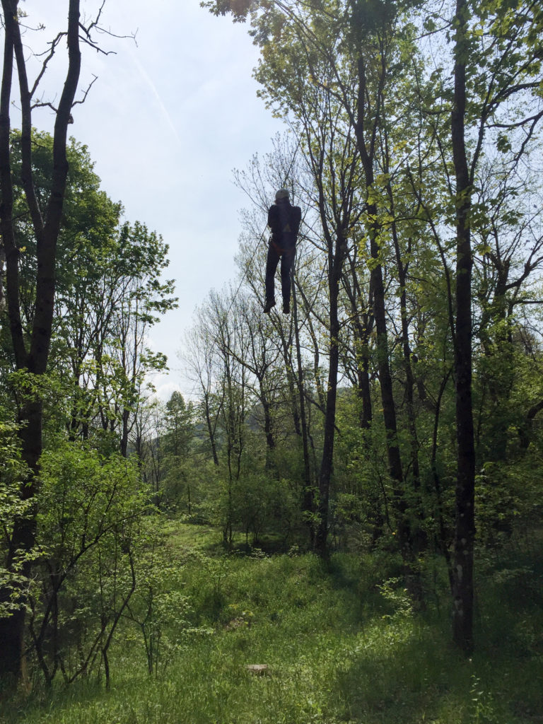 Zip Lining in Como