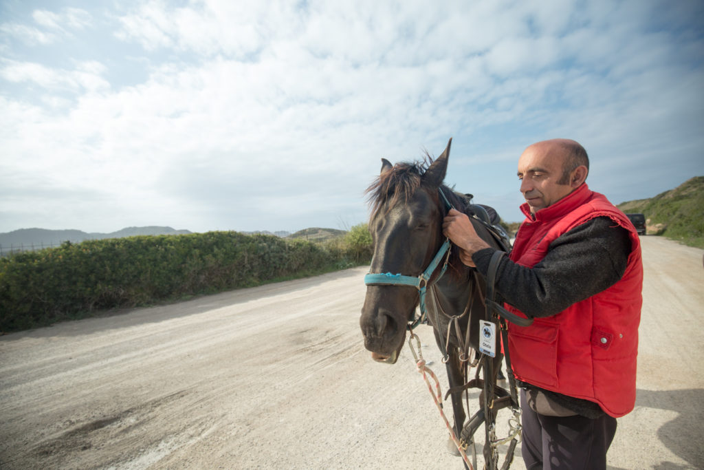 Rutas Ecuestres Cami Cavalls