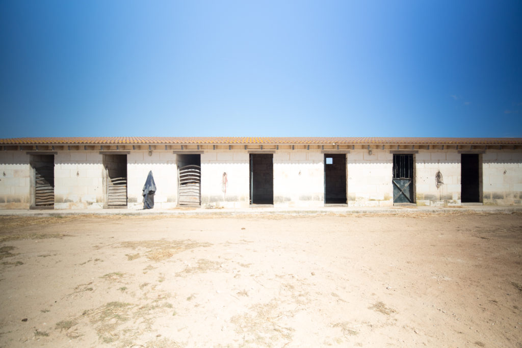 Stables at Son Angel