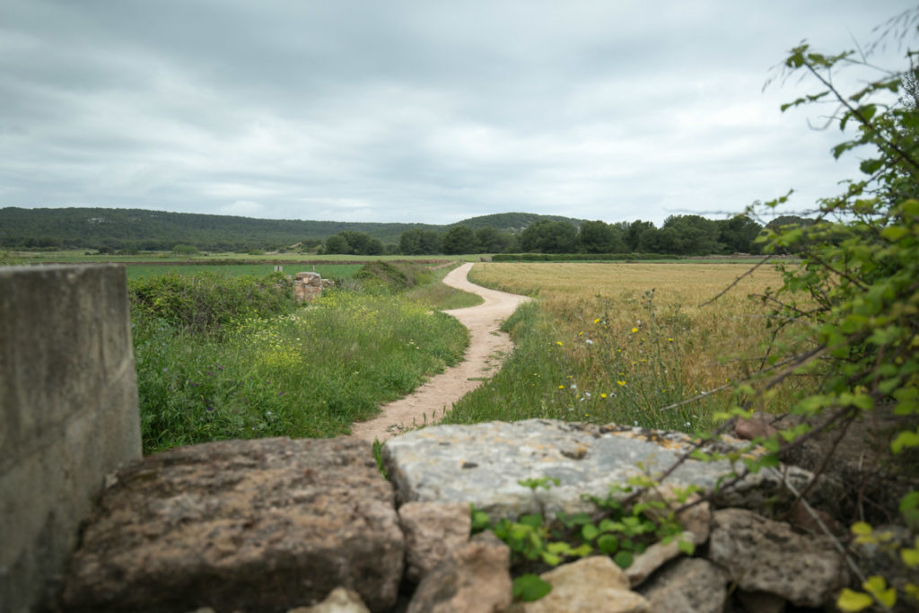 fields-mountain-biking