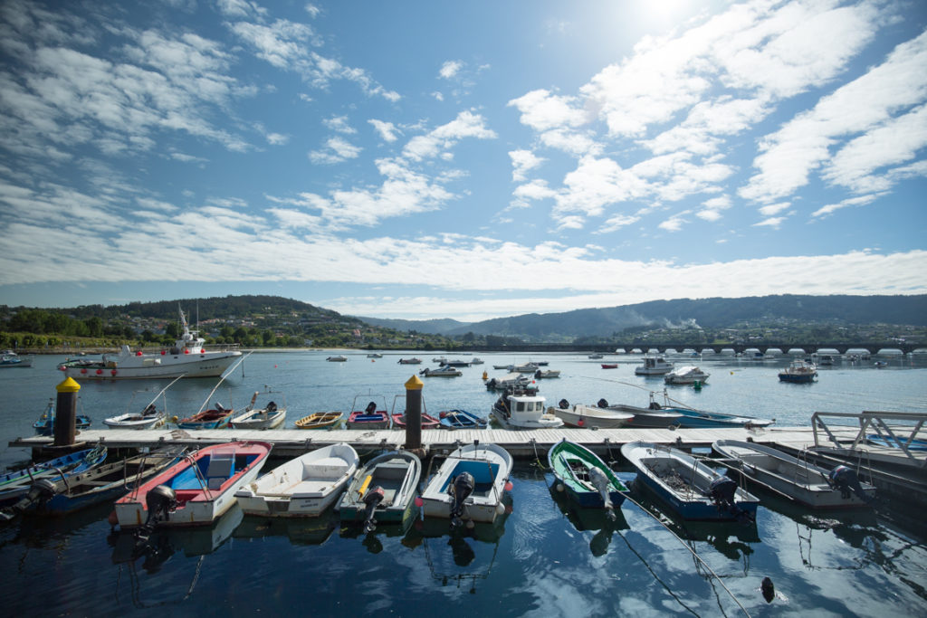 Fishing boats Pontedeume