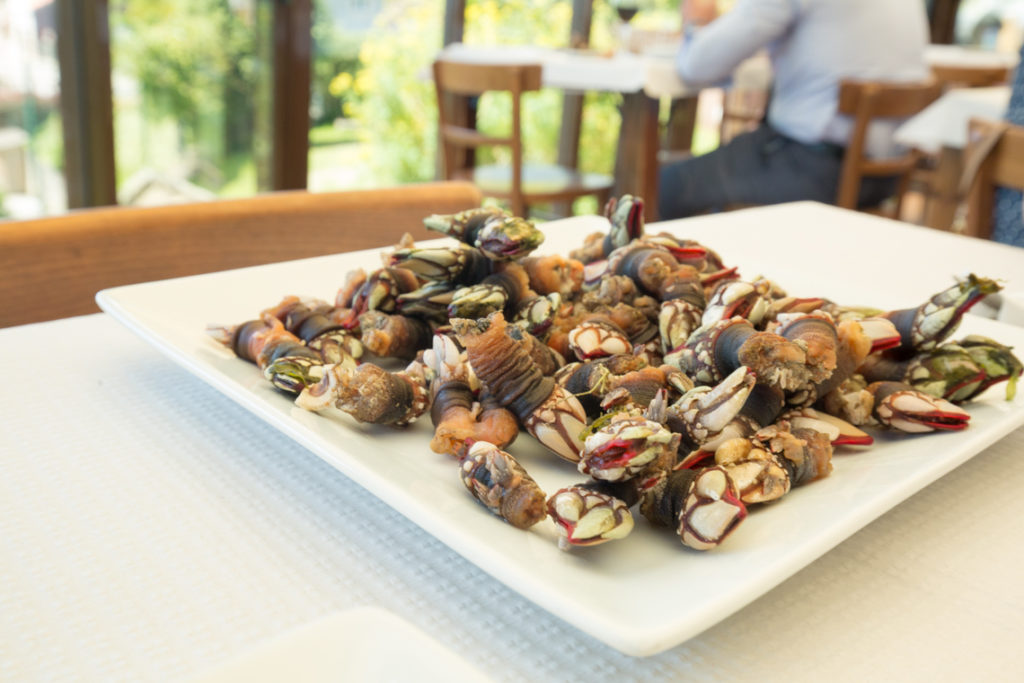 Galician barnacles at Leira Antiga