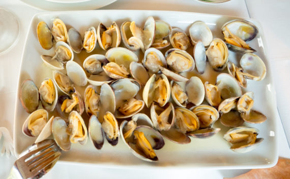 Close up Galician Clams